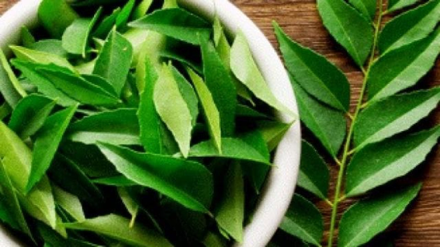 Eating Curry Leaves every morning provides many health benefits!