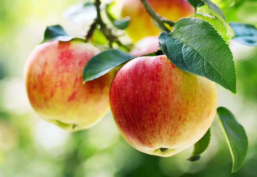 Nourish Your Body With These Nutrient Rich Sources